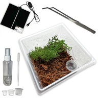 Terrarium dla pająka ptasznika skakuna Duży! zestaw startowy Mata 5W