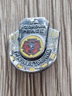 ZA WZOROWĄ PRACĘ W SŁUŻBIE ZDROWIA