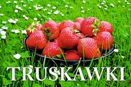 BANER SPRZEDAŻ TRUSKAWEK TRUSKAWKI TRUSKAWKA 120X80 H