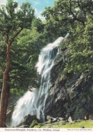 IRLANDIA - POWERSCOURT WATERFALL - WODOSPAD - ENNISKERRY