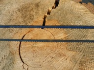 PIŁA TAŚMOWA BRZESZCZOT DO DREWNA STOLARSKA HOLZHER 1905x6x0,65x4z