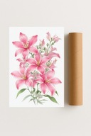 Plakat bez ramy 30x40 cm Różowe Lilie – delikatność i elegancja natury