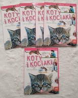 Nasi ulubieńcy Koty i kociaki