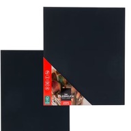 PODOBRAZIE MALARSKIE VAN BLEISWIJCK – PŁÓTNO 25 × 30 CM (CZARNE)