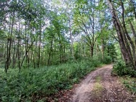 Działka, Potok, Rakszawa, Łańcucki, 1900 m²