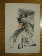 JANUSZ GRABIAŃSKI PIES PIESEK