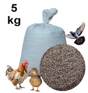 Pszenżyto - karma, pasza dla drobiu, gołębi i innego ptactwa - 5 kg.