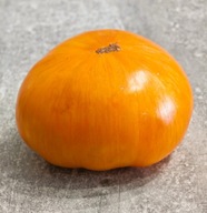 Pomidor Janet's Jacinthe Jewel (502) nasiona kolekcjonerskie