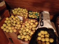 Używane piłki do tenisa różnych marek stan dobry i bardzo dobry