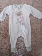 Pajacyk polarkowy 56