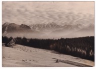 Zakopane owce na Halach 1964r. Fotografia