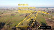 Działka, Suwałki, 59500 m²