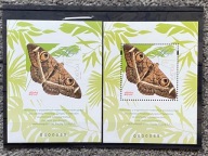 Folder Nowodruki A+B Motyle ĆMA NUMER