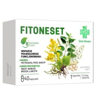 Kapsułki Fitoneset Synoptis Pharma na zdrowe nerki 40 szt.