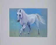 koń na łące akwarela na papierze