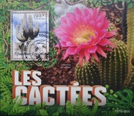 T.0308 BLOCZEK FLORA KWIATY KAKTUSY SUKULENTY w środowisku naturalnym