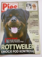 Przyjaciel Pies nr 1 2013 Rottweiler + plakaty Biały owczarek i Pudel