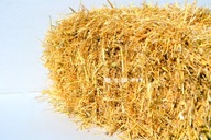 EKO Słoma Kostka 10kg Złocista Legowisko dla Psa