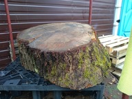 stolik plaster debu debowy dąb krążek podstawa stolik PLASTRY pien pieniek