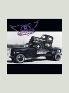 Aerosmith - Pump (180g) LP Winyl