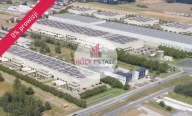 Magazyny i hale, Wypędy, Raszyn, Pruszkowski, 2000 m²