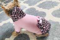 Ubranko bluza w panterkę dla psa typu YORK XS