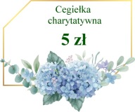 Cegiełka charytatywna - pomoc Pawłowi