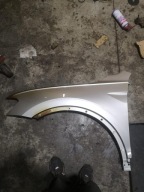 Lewy przedni błotnik VW Tiguan II 5N LB7W