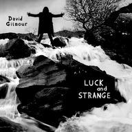Luck And Strange David Gilmour CD Richard Wright Steve Gadd Guy Pratt