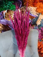 Trawa leśna naturalna zboże kłosy susz bordowa a na palmy 30szt