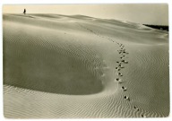 ŁEBA - WYDMY NADMORSKIE