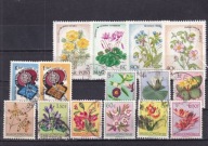 Kolonie belgijskie.1950 Kongo . Kasow