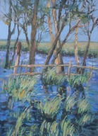 Akwarela Sabina Salamon 28x38 pejzaż rozlewiska