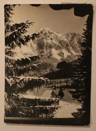 Tatry - Widok ze Schroniska PTTK w Dolinie Chochołowskiej na Kominy, 1959 r