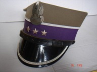 Rogatywka por Duszpasterstwa wz.5945