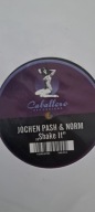 Jochen Pash & Norm - shake it