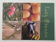 PIENINY PARK NARODOWY - MAP/INFO - TEN PRZEDMIOT - LASY