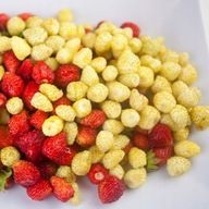 Poziomka YELLOW WONDER Bardzo słodka