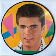 Ricky Nelson winyl Picture Disc Lp.