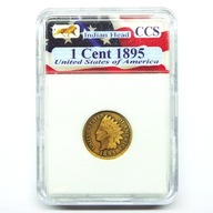 1 cent 1895 USA Indianin w plastikowym slabie Indian Head