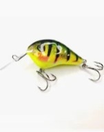 imperator 6,2 champion