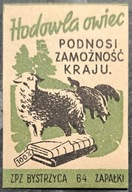 Z - 13/I HODOWLA OWIEC