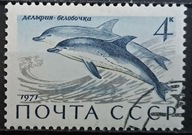 Ryby (kas) - luzak - do uzupełnień 13/5