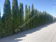 Działka, Pęcice, Michałowice, Pruszkowski, 1008 m²