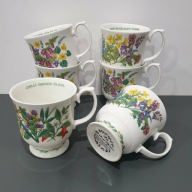 Roy Kirkham Herbs n’ Spices – zestaw 6 dużych kubków botanicznych, England