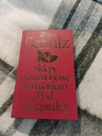Sklepy cynamonowe. Sanatorium pod Klepsydrą B. Schulz