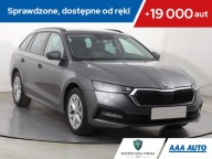Skoda Octavia 2.0 TDI, Salon Polska