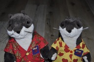 pluszak maskotka super zestaw Pan i Pani Wydra 35 cm