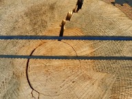 PIŁA TAŚMOWA DO DREWNA STOLARSKA MAFELL Z2 1390mmx8x0,65x4z