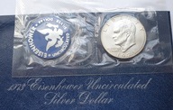 JEDEN DOLAR (ONE DOLLAR) - EISENHOWER - 1973S - BLUE IKE